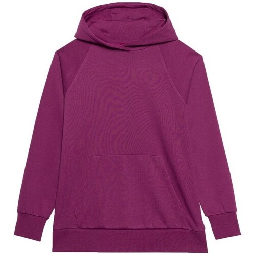 Clothing Women Sweaters 4F 4FWSS24TSWSF095551S Purple