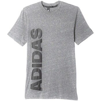 Clothing Men Short-sleeved t-shirts adidas Originals Basic Tee Lin Grey