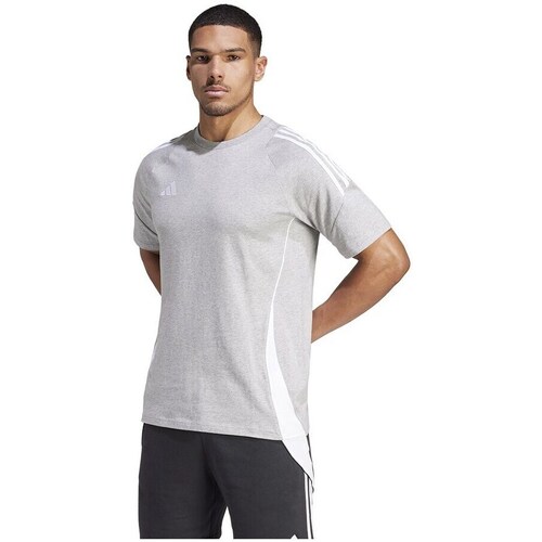 Clothing Men Short-sleeved t-shirts adidas Originals IR9348 Grey