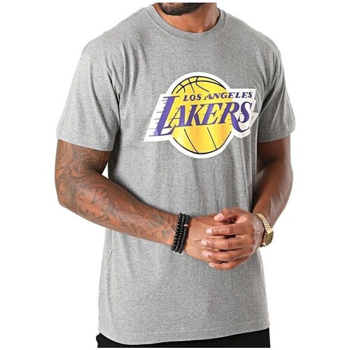 Clothing Men Short-sleeved t-shirts Mitchell And Ness Nba Los Angeles Lakers Team Logo Tee M Grey