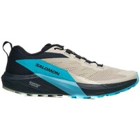 Shoes Men Running shoes Salomon L47458500 Black, Beige, Blue