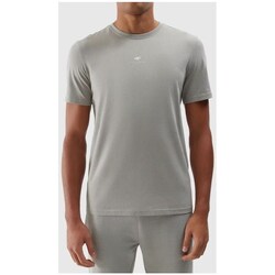 Clothing Men Short-sleeved t-shirts 4F 4FWSS24TTSHM128225S Grey