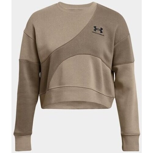 Clothing Women Sweaters Under Armour 1382721200 Brown