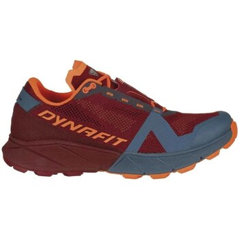 Shoes Men Walking shoes Dynafit 0800000640841571 Blue