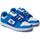 Shoes Men Low top trainers DC Shoes Manteca 4 White, Blue