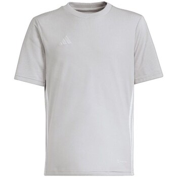 Clothing Girl Short-sleeved t-shirts adidas Originals IA9153 Grey