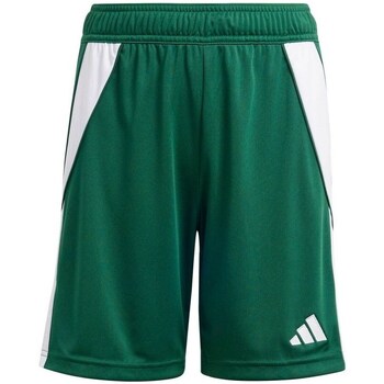 Clothing Boy Cropped trousers adidas Originals Tiro 24 Jr Green