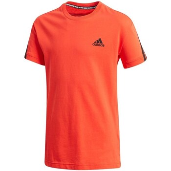 Clothing Boy Short-sleeved t-shirts adidas Originals K9623 Red