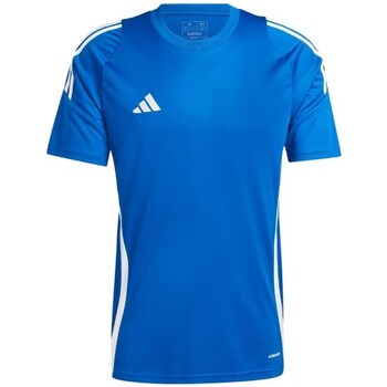 Clothing Men Short-sleeved t-shirts adidas Originals Tiro 24 Blue
