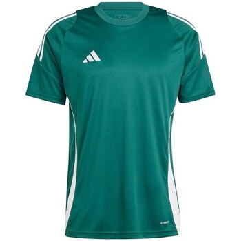 Clothing Men Short-sleeved t-shirts adidas Originals Tiro 24 Jersey Green