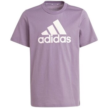 Clothing Boy Short-sleeved t-shirts adidas Originals Essentials Big Logo Purple