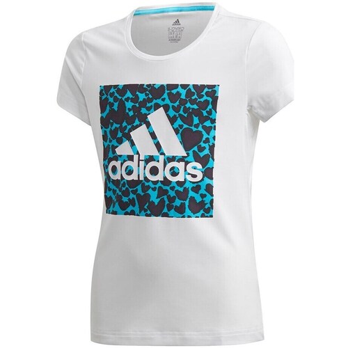 Clothing Girl Short-sleeved t-shirts adidas Originals K9617 Turquoise, White