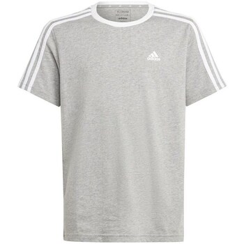 Clothing Boy Short-sleeved t-shirts adidas Originals Essentials 3-stripes Grey, White