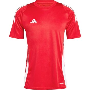 Clothing Men Short-sleeved t-shirts adidas Originals IS1016 Red