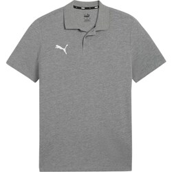 Clothing Men Short-sleeved t-shirts Puma Team Goal Grey