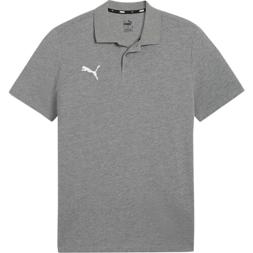 Clothing Men Short-sleeved t-shirts Puma Team Goal Grey
