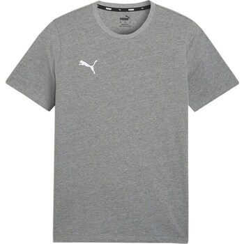 Clothing Men Short-sleeved t-shirts Puma Team Goal Casuals Grey