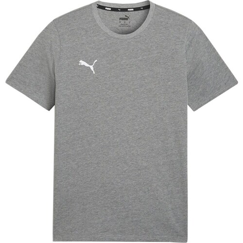 Clothing Men Short-sleeved t-shirts Puma Team Goal Casuals Grey