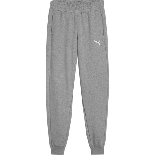 Clothing Boy Trousers Puma Team Goal Grey
