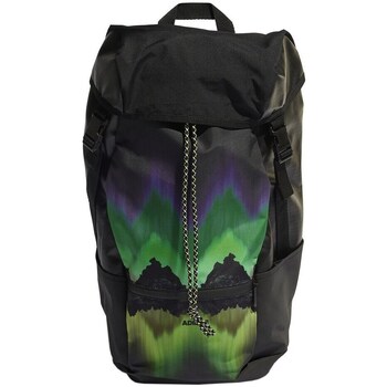 Bags Rucksacks adidas Originals HN7760 Black, Green