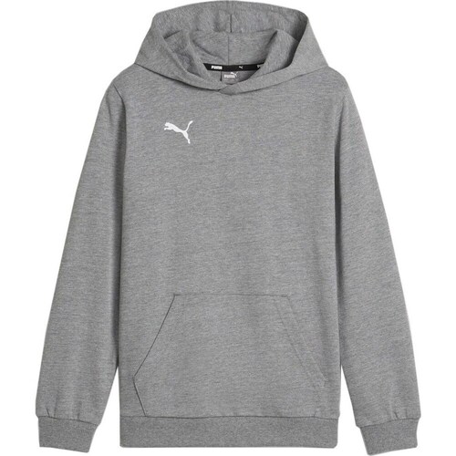 Clothing Men Sweaters Puma B23599 Grey