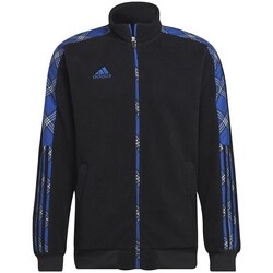 Clothing Men Sweaters adidas Originals Tiro Winterized Black, Blue