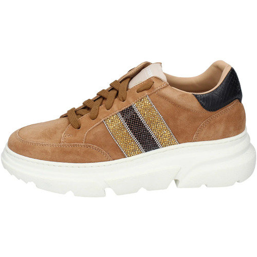 Shoes Women Trainers Stokton EY965 Brown