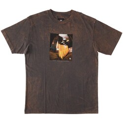 Clothing Men Short-sleeved t-shirts DC Shoes Heikkila Fs Noseblunt T-shirt Brown