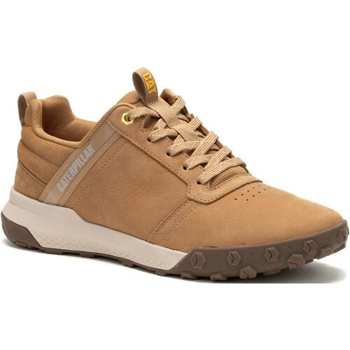 Shoes Men Low top trainers Caterpillar Hex Ready Brown
