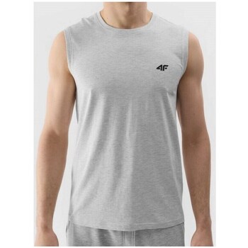 Clothing Men Short-sleeved t-shirts 4F 4FWSS24TSLEM07527M Grey