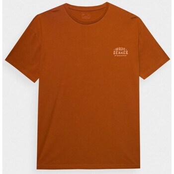 Clothing Men Short-sleeved t-shirts 4F 4FWSS24TTSHM131881S Brown