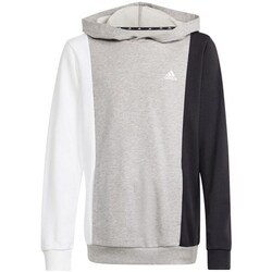 Clothing Boy Sweaters adidas Originals Cb Ft Hd Jr Black, White, Grey