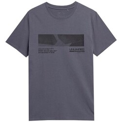 Clothing Men Short-sleeved t-shirts 4F 4FSS23TTSHM308SZARY Graphite