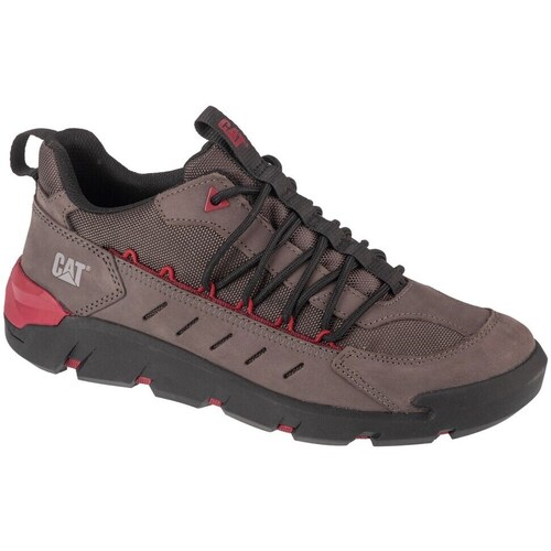 Shoes Men Low top trainers Caterpillar Crail Sport Low Black, Red, Brown