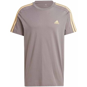Clothing Men Short-sleeved t-shirts adidas Originals IS1334 Grey