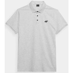 Clothing Men Short-sleeved t-shirts 4F 4FWSS24TPTSM12927M Grey