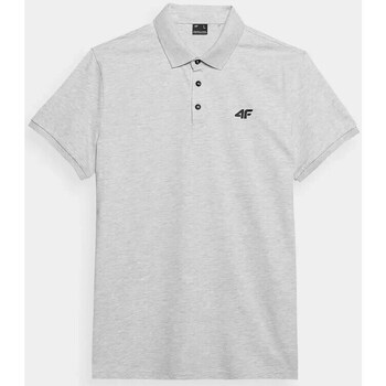 Clothing Men Short-sleeved t-shirts 4F 4FWSS24TPTSM12927M Grey