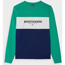 Clothing Boy Sweaters 4F 4FJWSS24TSWSM092341S Navy blue, Green
