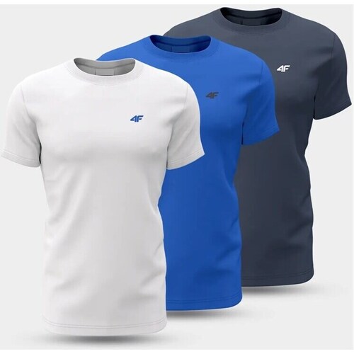 Clothing Men Short-sleeved t-shirts 4F 4FWSS24TTSHM189591S Blue, Graphite, White