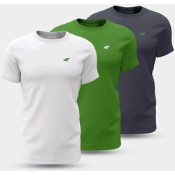 Clothing Men Short-sleeved t-shirts 4F 4FWSS24TTSHM189590S Green, White, Graphite