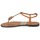 Shoes Women Flip flops Roberto Cavalli XPX243-PZ220 Brown