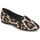 Shoes Women Flat shoes Roberto Cavalli XPS280-FLA41 Leopard
