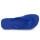 Shoes Flip flops Havaianas TOP Marine / Blue