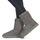 Shoes Women Mid boots UGG CLASSIC SHORT II Grey