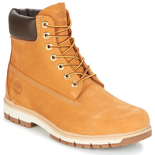 Shoes Men Mid boots Timberland RADFORD 6