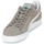 Shoes Low top trainers Puma SUEDE CLASSIC Grey