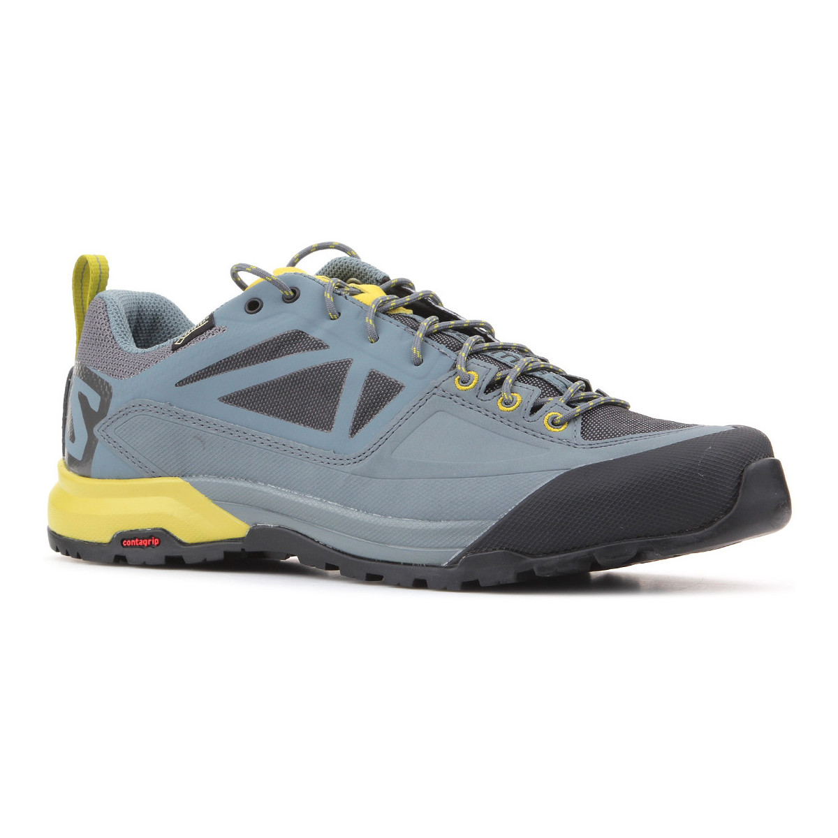 Shoes Men Walking shoes Salomon Trekking shoes  X Alp SPRY GTX 401621 Multicolour